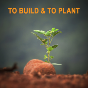 To Build and To Plant