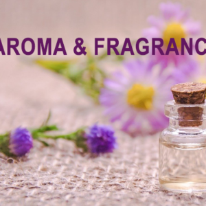 Fragrance and Aroma